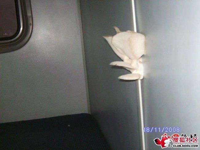 Дело было в китайском поезде...