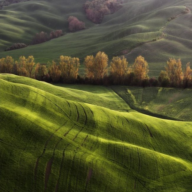 Красивые пейзажи от Marcin Sacha (14 фото)