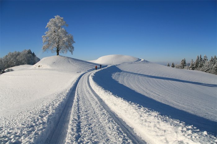 Зимние пейзажи (29 фото)