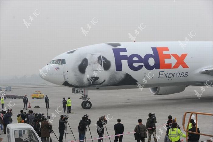 Самолет для панд