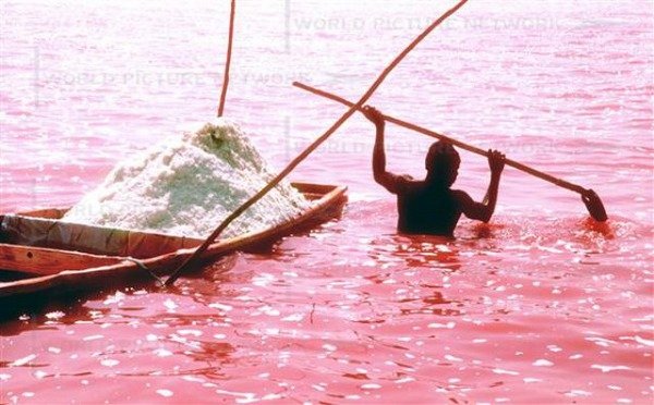 Необычное розовое озеро в Сенегале