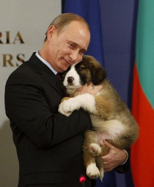 Путин с животными