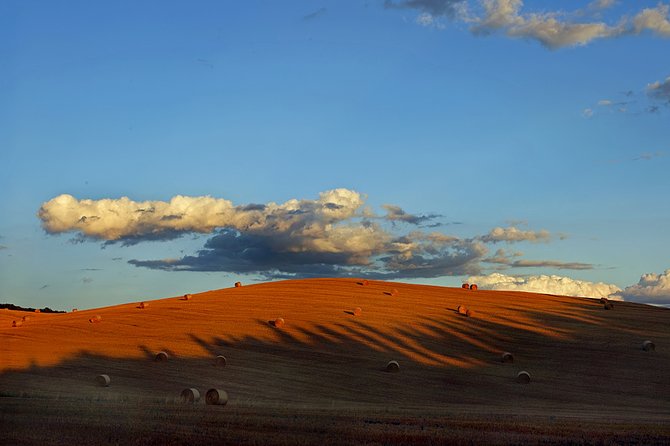 Работы Edmondo Senatore