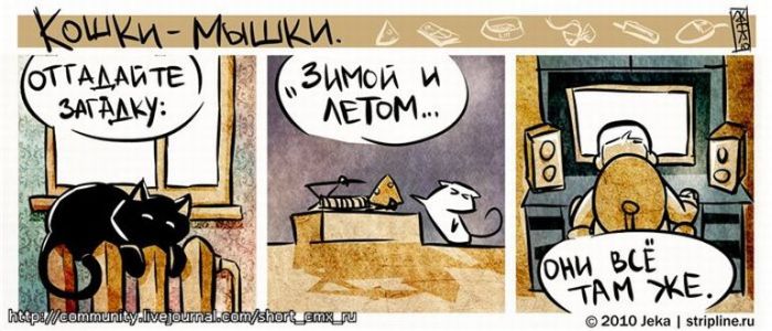 Комиксы про кошки-мышки