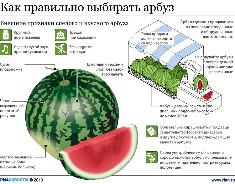 Как выбрать арбуз