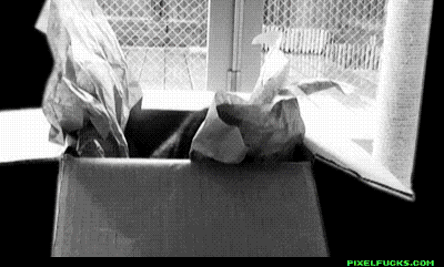 http://www.rulez-t.info/uploads/posts/2011-12/1323450848_the_definitive_collection_of_cat_09.gif