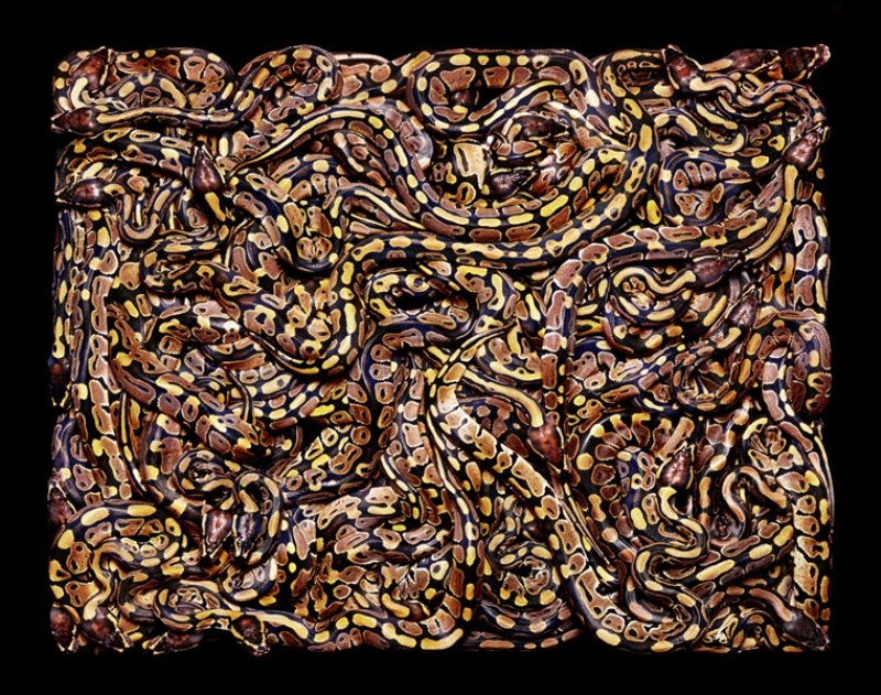 Змеиные узоры от Гвидо Мокафико