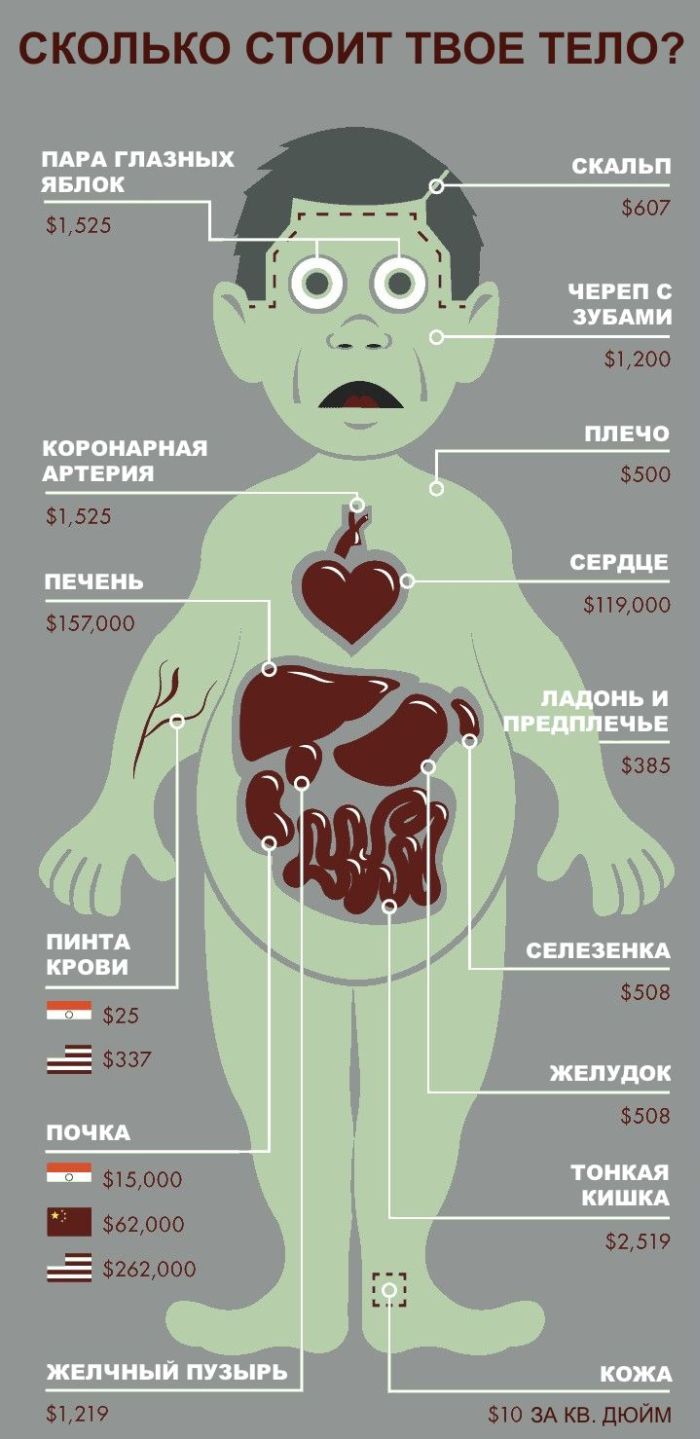 Сколько стоит твое тело
