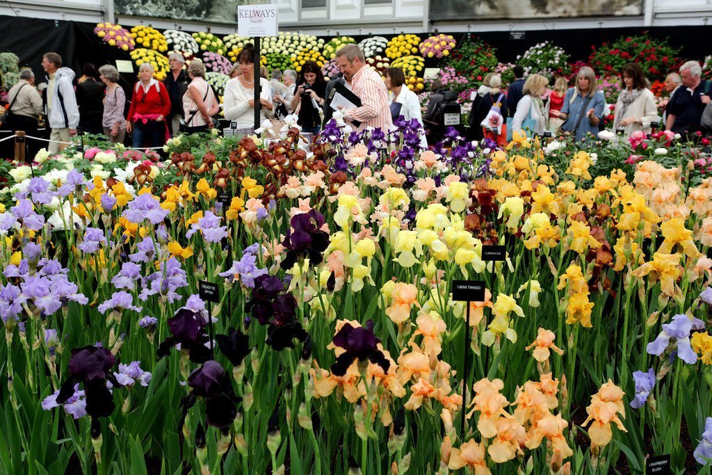 101-ая ежегодная Цветочная выставка Chelsea Flower Show 2014