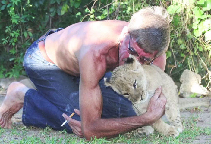 В Южной Африке мужчина заменил льву мать