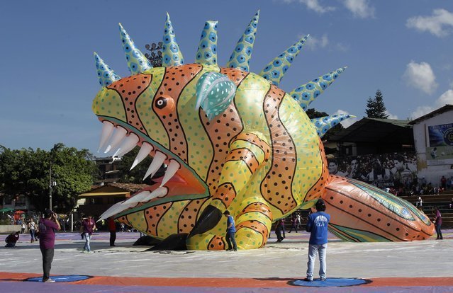 Солнечный фестиваль воздушных шаров в Колумбии (13 фото)