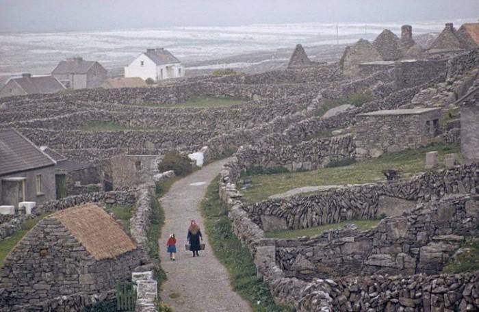 Каменные стены Ирландии (15 фото)