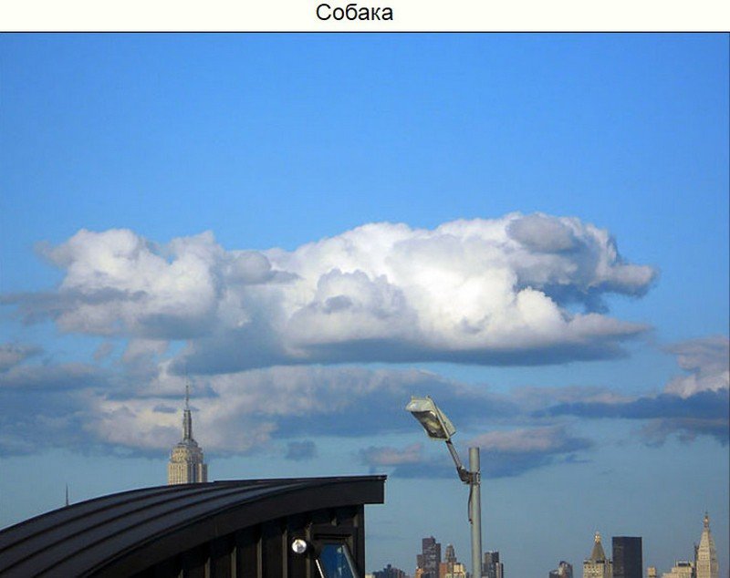 Облака которые похожи на что-то интересное (13 фото)