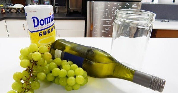 Готовим пьяный виноград (13 фото)