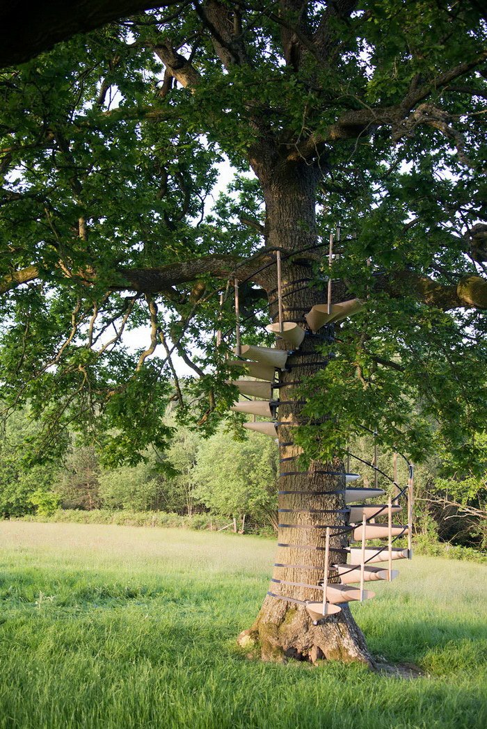 Переносная лестница с помощью которой можно забраться на любое дерево (10 фото)