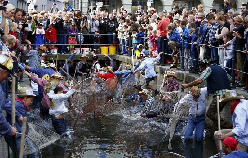 Отчаянные немецкие рыбаки пытаются поймать форель в реке по колено (10 фото)