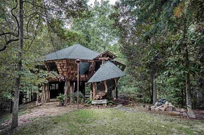 Уютный лесной домик за много долларов (17 фото)