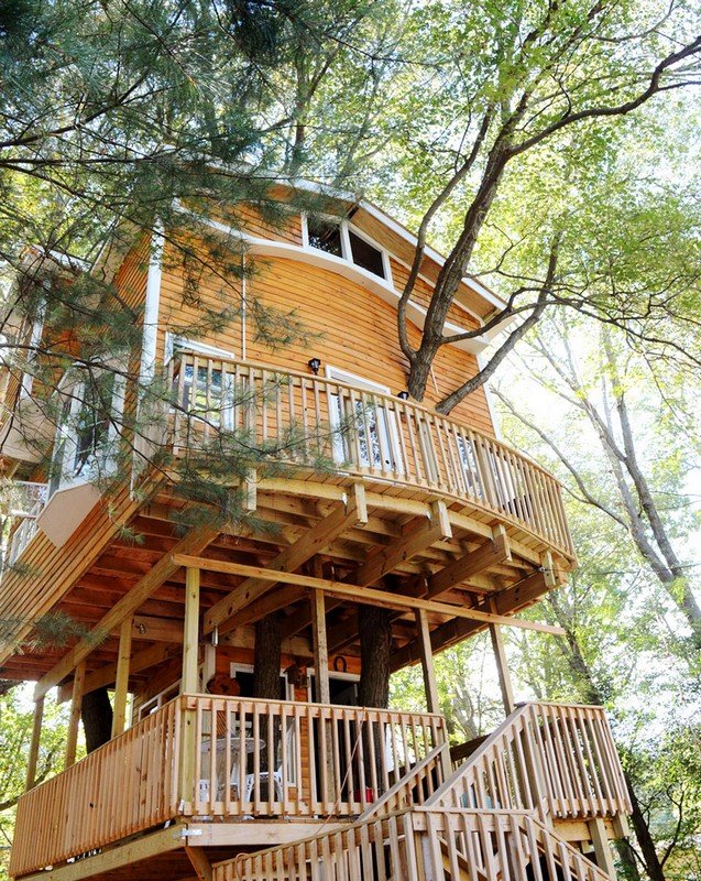 Дедушка построил для внуков трехэтажный дом на дереве (5 фото)