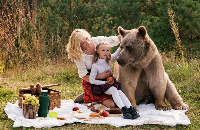 Фотосессия от Ольги Баранцевой, пикника с медведем, шокировала зарубежные СМИ и пользователей сети
