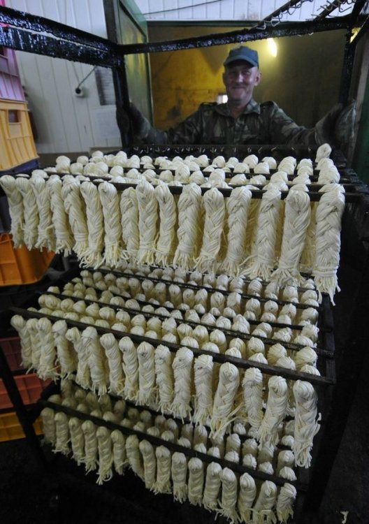 Как в Хакасии производится сыр сулугуни (18 фото)