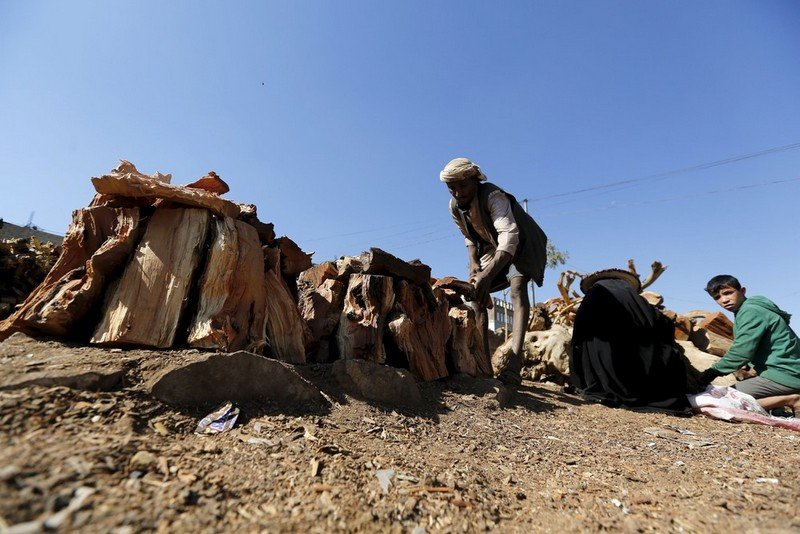 Подготовка к зиме в Йемене (13 фото)