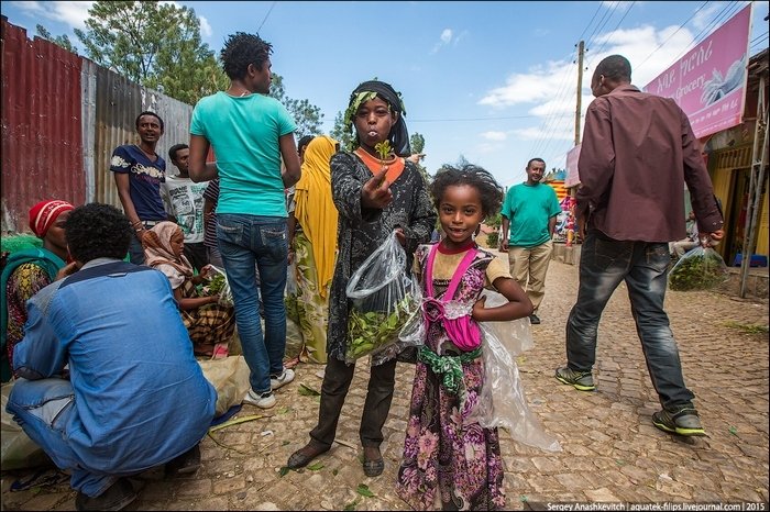 Листья кайфа - рынок ката в Африке (11 фото)