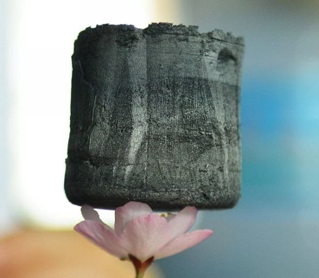 В Китае разработали Самый легкий материал в мире (4 фото)