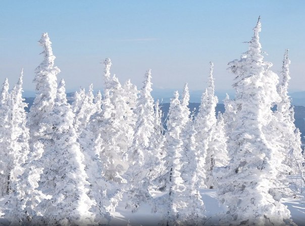 Фотографии русской зимы