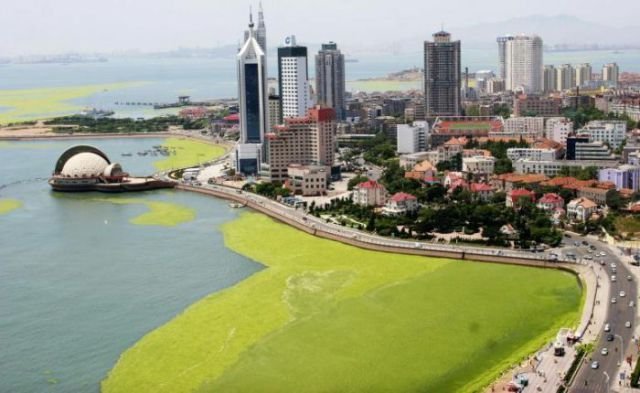 Морское вторжение зелёных инопланетян в Китае
