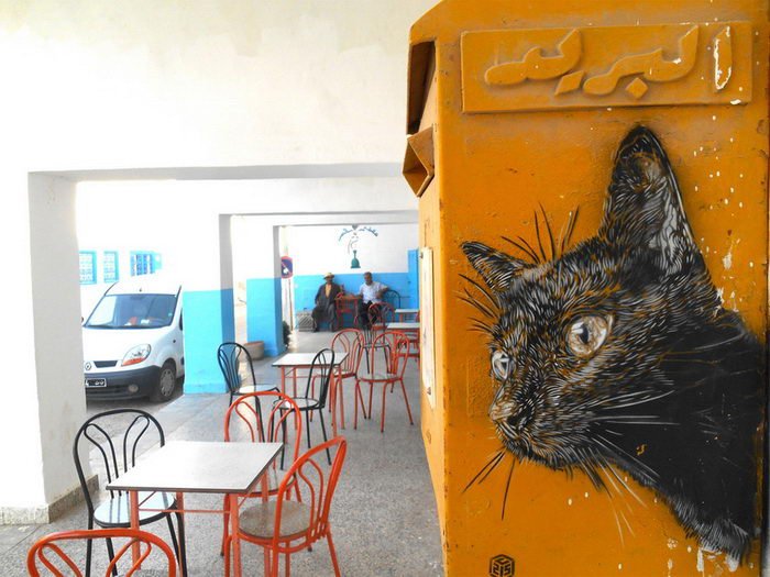 Граффити-котики французского художника C215