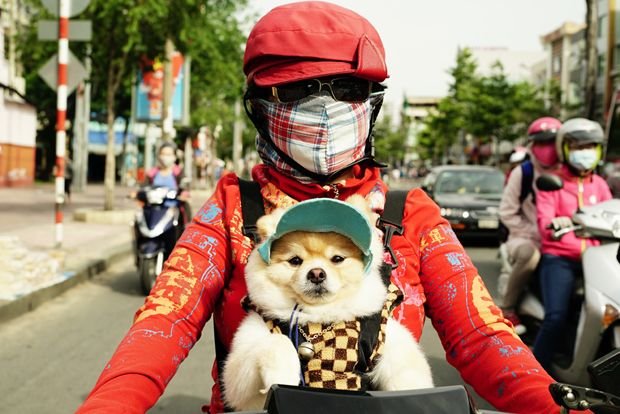 Вьетнамцы настолько одержимы белой кожей, что в солнечную погоду носят маски