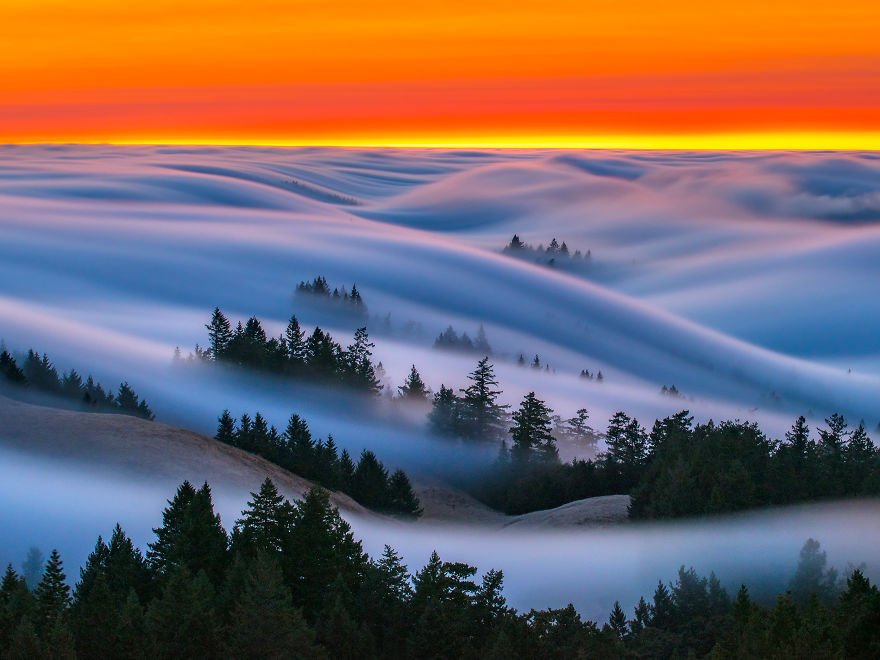 Нереально красивые фотографии волн тумана