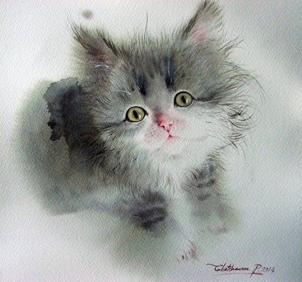 Красивые рисунки котят / художник: Chatchawarn Ruksa