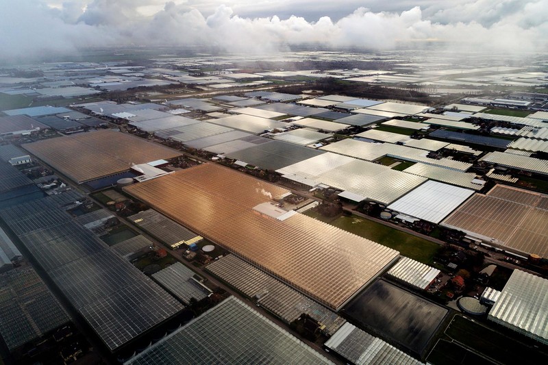 Инновации на фермах в Нидерландах