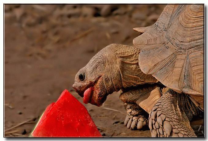 Фотоподборка