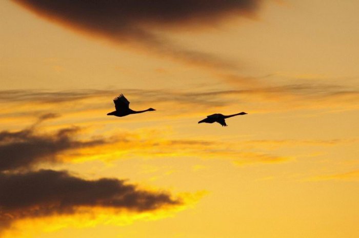 Фотоподборка