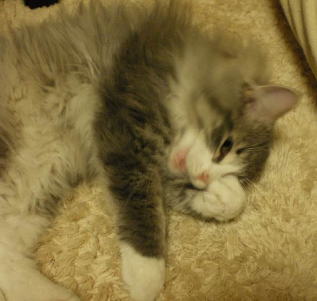 Фотоподборка