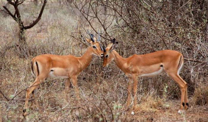 Фотоподборка