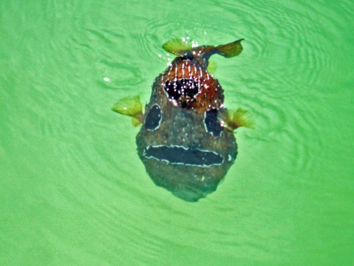 Фотоподборка