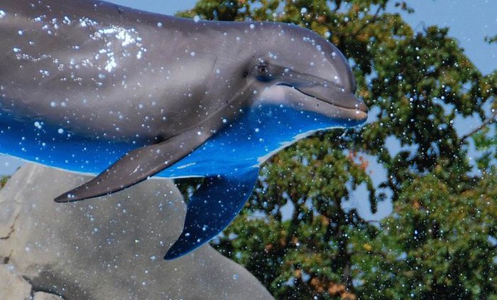 Фотоподборка