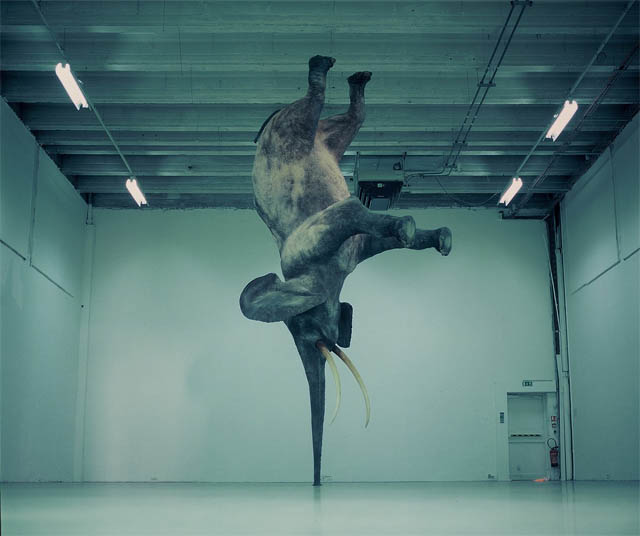 Смешные зверушки (30 фото)