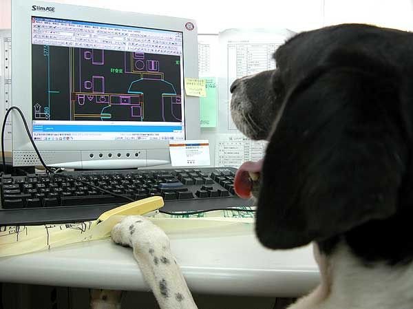Собака - инженер (4 фото)