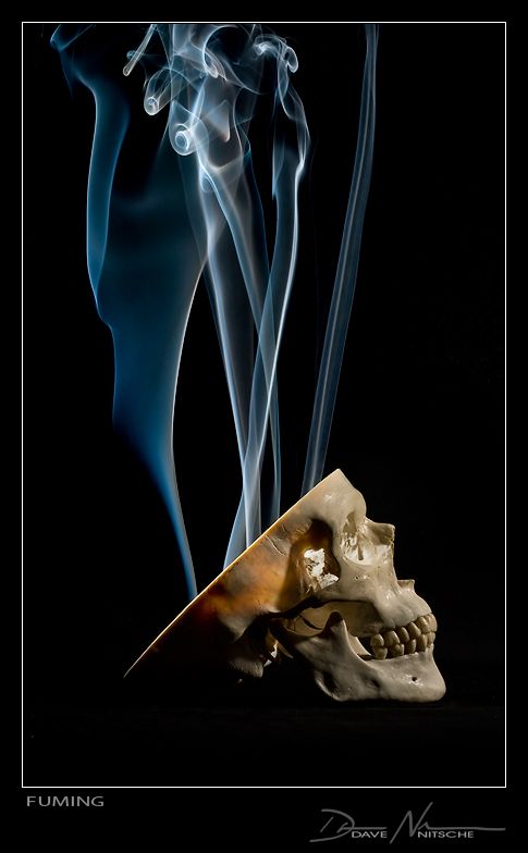 Креатив от Девида Ницше (50 фото)