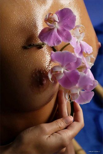 Чуток красивостей