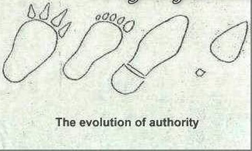 Эволюция, как она есть...