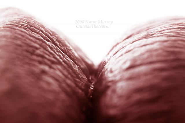 Красивая эротика (43 фото)