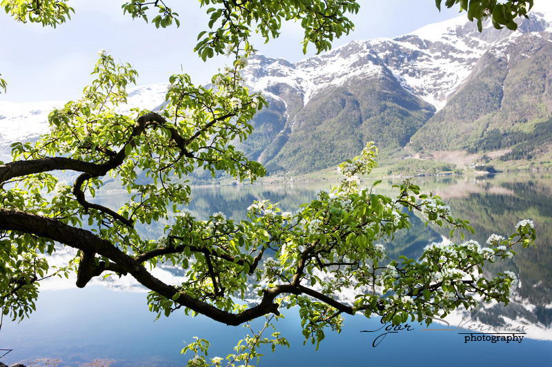 Норвегия от Игоря Шермана (14 фото)