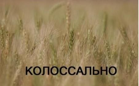 Необычные ассоциации