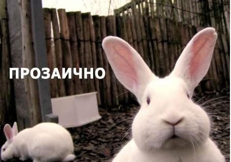 Необычные ассоциации