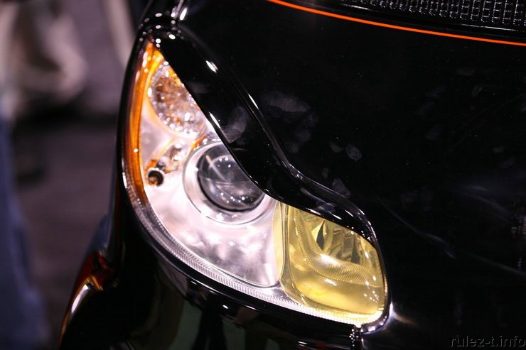 Бэтсмарт (13 фото)